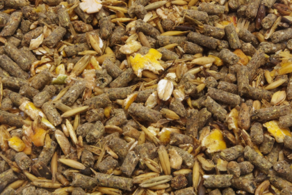 43-musli-jehnata-a-kuzlata.jpg