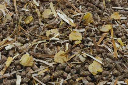 53-tmr-grain-free.jpg