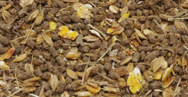 32-musli-premium-masny-skot_01.jpg