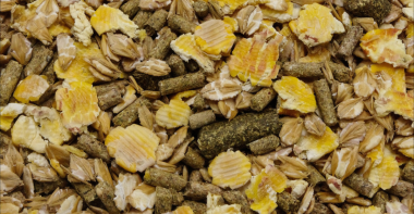 musli-oat-free.png