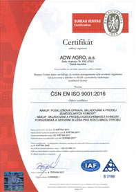 certificate-2.jpg