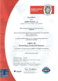 certificate-3.jpg