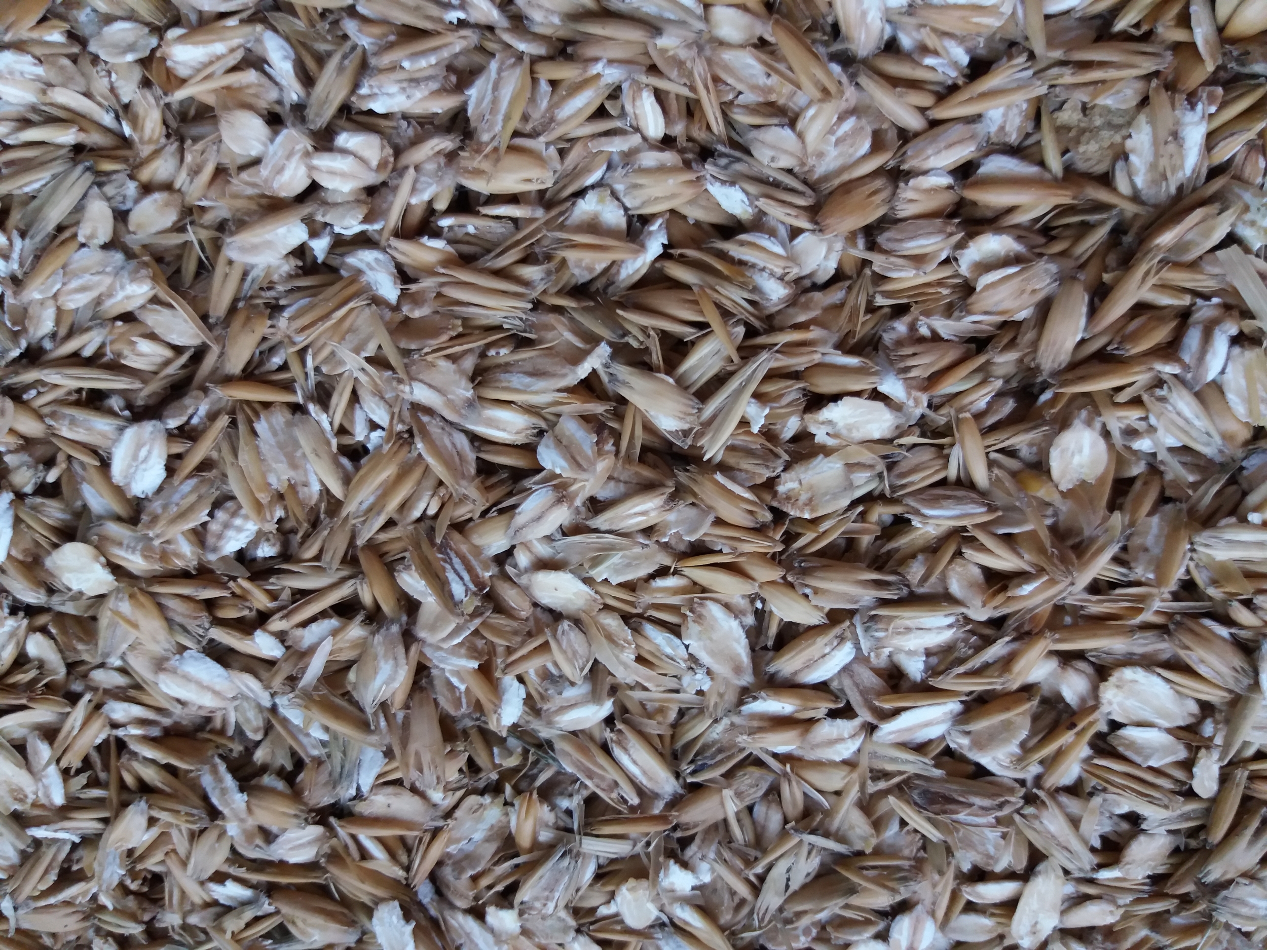 HYDROTHERMIC FLAKES MADE FROM BASIC GRAIN CROPS | ADW